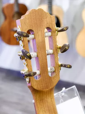 Denver - Guitar Ukulele 2